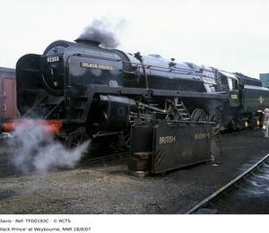 TFD0193C