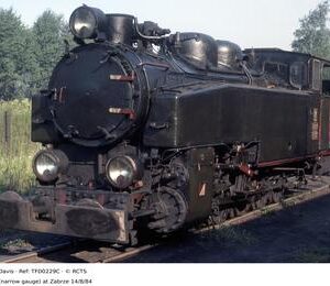 TFD0229C