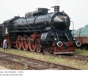 TFD0295C