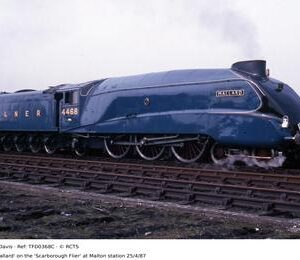 TFD0368C
