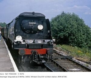 TFD0429C