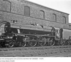 UNK0008