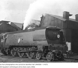 UNK0009