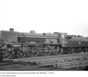 UNK0019