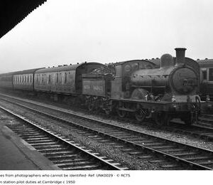 UNK0029