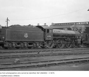 UNK0053