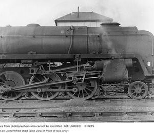 UNK0101