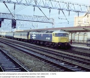 UNK0134C