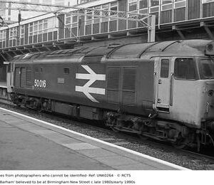 UNK0264