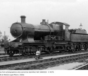 UNK0333