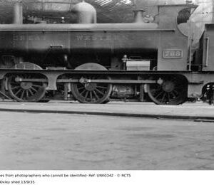 UNK0342