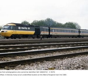 UNK0371C
