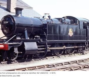 UNK0373C