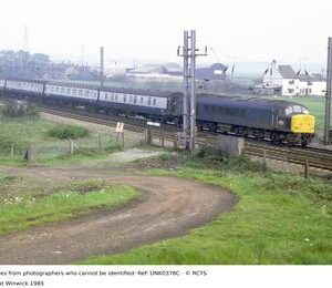 UNK0378C