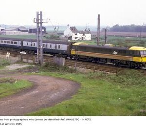 UNK0379C