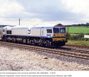 UNK0389C