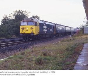 UNK0390C