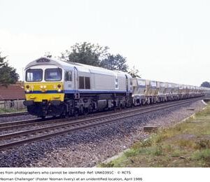 UNK0391C