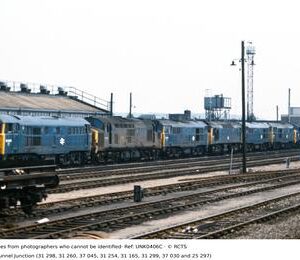 UNK0406C