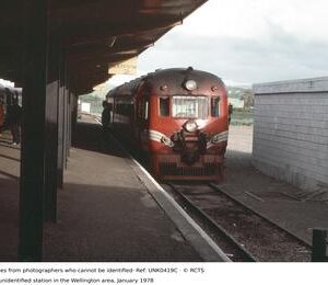 UNK0419C