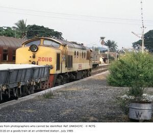 UNK0437C