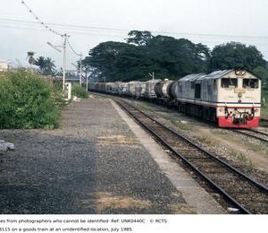 UNK0440C
