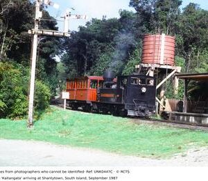 UNK0447C
