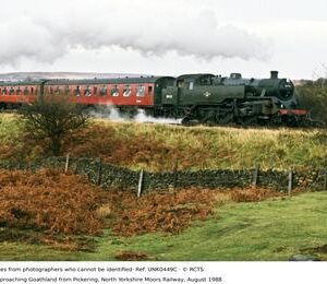 UNK0449C