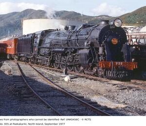 UNK0456C