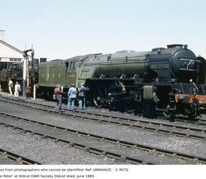 UNK0463C