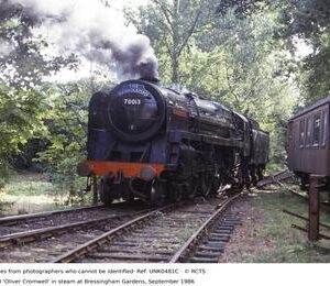 UNK0481C
