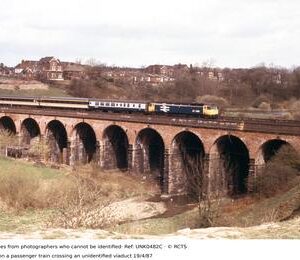 UNK0482C