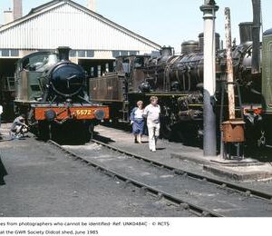 UNK0484C