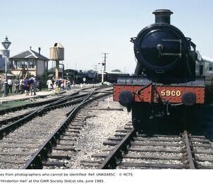 UNK0485C