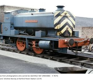 UNK0488C