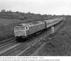 UNK0497