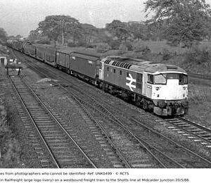 UNK0499
