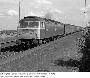 UNK0505