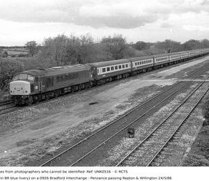 UNK0516