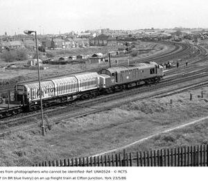 UNK0524