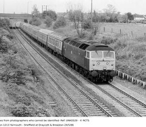 UNK0529
