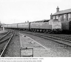 UNK0534