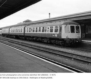 UNK0555