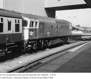 UNK0556