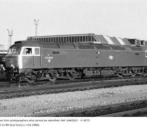 UNK0557