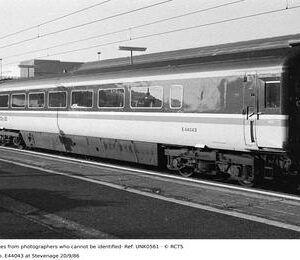 UNK0561