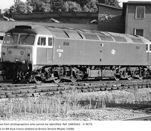 UNK0563