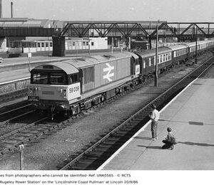 UNK0565