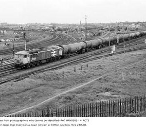 UNK0585