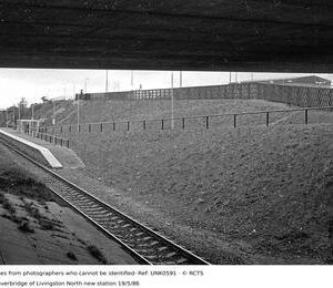 UNK0591